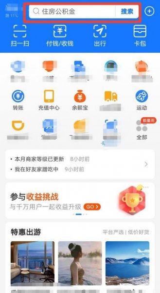 支付宝养鸡在哪里养