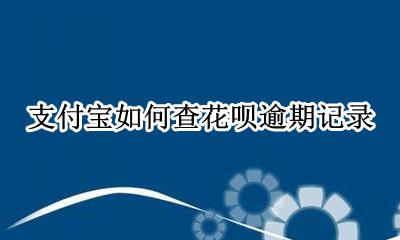 支付宝如何查花呗逾期记录 支付宝花呗逾期记录在哪里消除