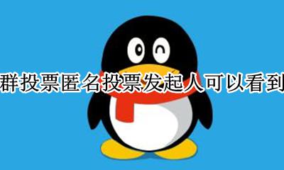 群里匿名投票发起者能看到吗 qq群投票匿名投票发起人可以看到吗