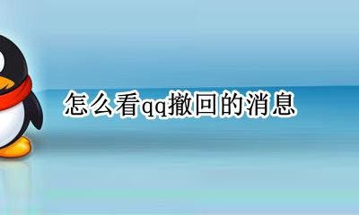 怎么看qq撤回的消息 qq上怎么看撤回的消息
