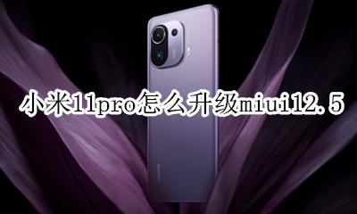 小米11pro怎么升级开发版 小米11pro怎么升级miui12.5