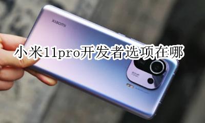 小米11开发者选项在哪里 小米11pro开发者选项在哪