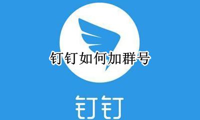 钉钉如何加群号 如何添加钉钉群号