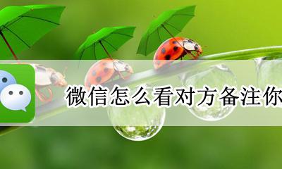 微信查看对方备注 微信怎么看对方备注你