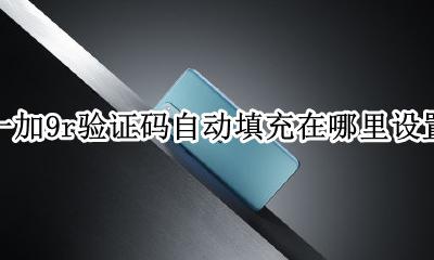 自动填充验证码怎么设置 一加9r验证码自动填充在哪里设置