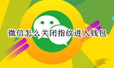 微信怎么关闭指纹进入钱包 微信在哪里关闭指纹进入钱包