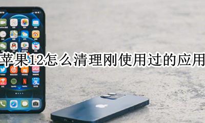 苹果12怎么清理刚使用过的应用 iphone12怎么清除使用过的应用