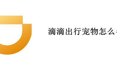 滴滴出行宠物怎么备注 带狗打车应该怎样在滴滴打车上备注