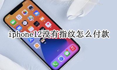 苹果12不支持指纹怎么付款 iphone12没有指纹怎么付款