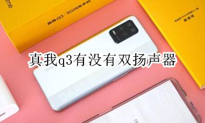 奥迪q3什么音响 真我q3有没有双扬声器