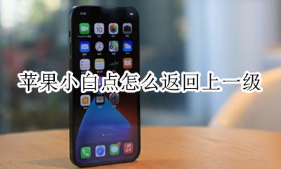 苹果小圆点返回上一级 苹果小白点怎么返回上一级