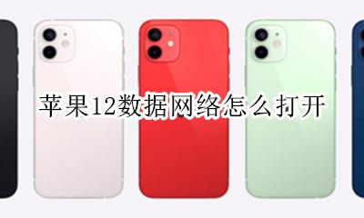 苹果12怎么显示网络 苹果12数据网络怎么打开