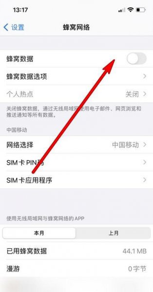 苹果12数据网络怎么打开
