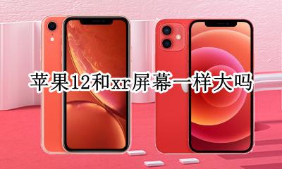 苹果12和xr屏幕一样大吗 iphone 12和xr屏幕比较