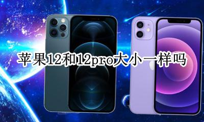 苹果12和12pro大小一样吗 苹果12和苹果12pro尺寸一样大吗
