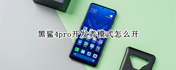 黑鲨4pro开发者模式怎么开