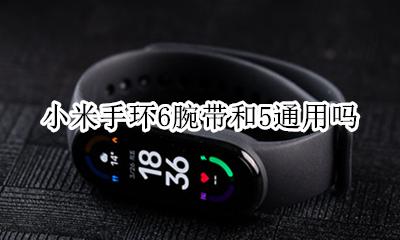 小米手环6腕带和5通用吗 小米手环6的腕带和小米手环6的一样吗?
