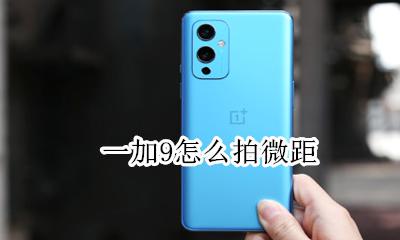 一加9怎么拍微距 一加9微距怎么调出来