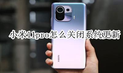 小米11pro怎么关闭系统更新 miui11怎么关闭系统自动更新