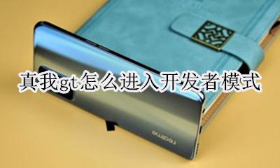 真我怎么打开开发者模式 真我gt怎么进入开发者模式