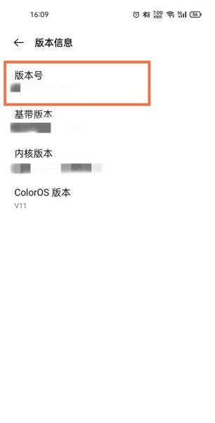 真我gt怎么进入开发者模式