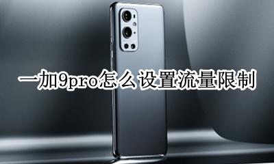一加手机流量限制 一加9pro怎么设置流量限制
