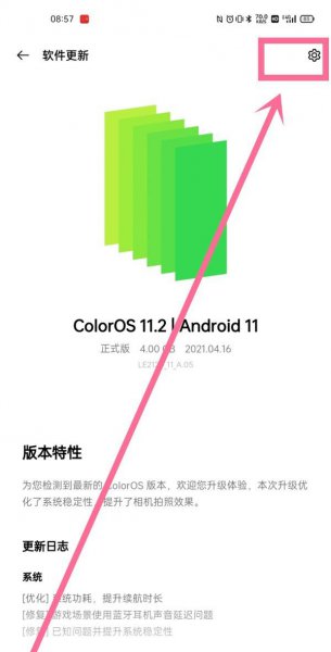 一加9pro怎么设置系统自动更新
