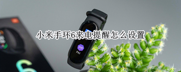小米手环6来电提醒怎么设置