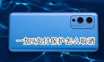 一加9支付保护怎么取消 关闭支付保护教程