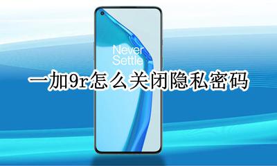 一加9r怎么关闭隐私密码 一加9r隐私密码怎么取消