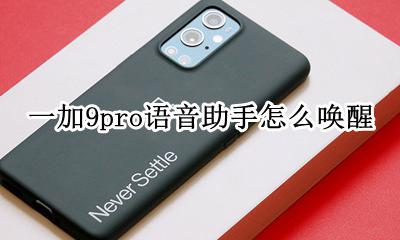 一加9pro语音助手怎么唤醒 荣耀9xpro语音助手怎么唤醒