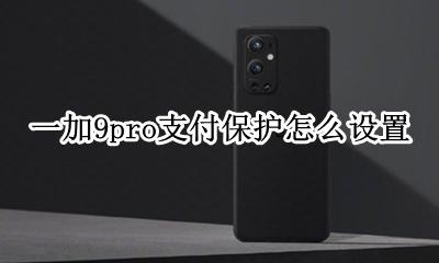 一加9pro支付保护怎么设置 怎么开启支付保护