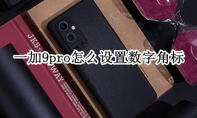 一加9pro角标能不能显示数字 怎么设置数字角标