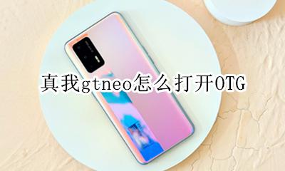 真我gtneo怎么打开后退 真我gtneo怎么打开OTG
