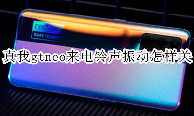 真我gtneo来电铃声振动怎样关 如何关