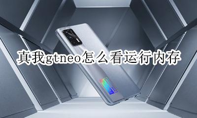 真我gtneo怎么看运行内存 如何看运行内存