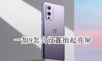 一加9自动亮度 一加9怎么设置抬起亮屏