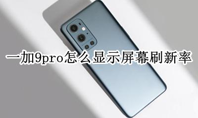 一加9屏幕刷新率是9还是9 一加9pro怎么显示屏幕刷新率