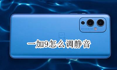 一加9怎么调静音 一加怎么设置静音