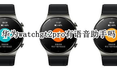 华为gt2pro语音助手怎么用 华为watchgt2pro支持语音助手吗