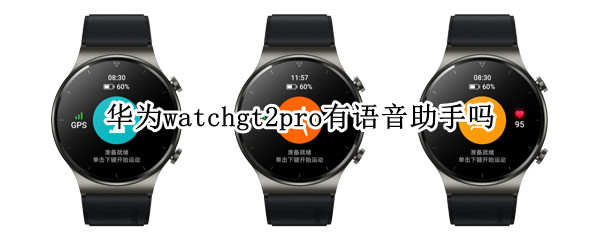 华为watchgt2pro支持语音助手吗