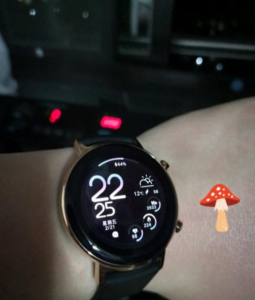 华为watchgt2pro可以接听和拒接来电吗