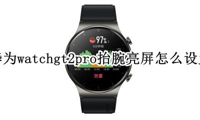 华为gt2pro抬腕亮屏不灵敏 华为watchgt2pro抬腕亮屏怎么设置