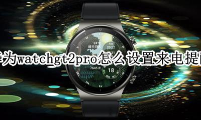 华为watch gt2pro使用说明 华为watchgt2pro怎么设置来电提醒