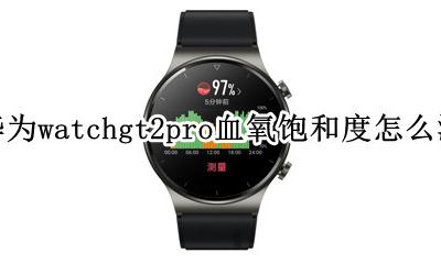 华为gt能测血氧饱和度吗 华为watchgt2pro血氧饱和度怎么测