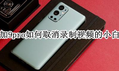 一加9pro如何取消录制视频的小白点 去掉录屏的触摸白点