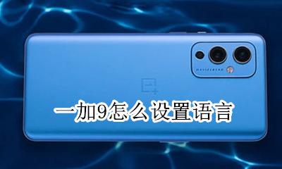 一加9怎么设置语言 一加手机怎么设置语音功能