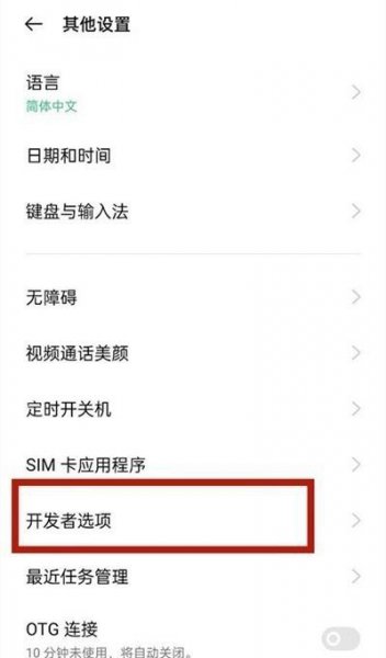 一加9r怎么进入开发者模式