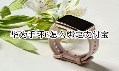 华为手环6怎么绑定支付宝 荣耀手环6怎么绑定支付宝