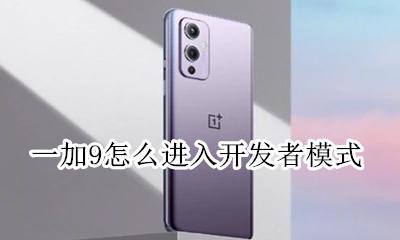 一加9怎么进入开发者模式 一加9t开发者模式在哪里